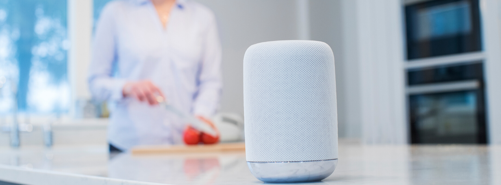 why is voice search for ecommerce an opportunity you can't ignore